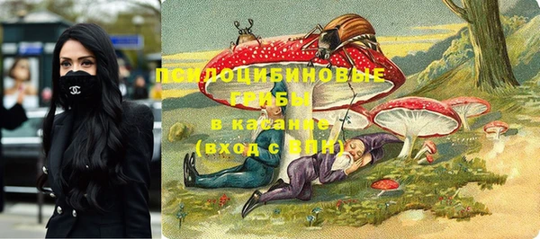 гидра Липки