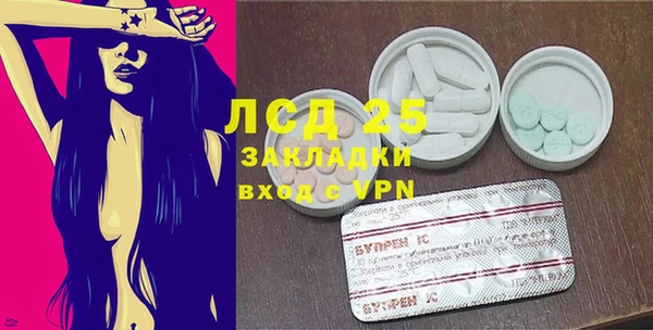 гидра Липки