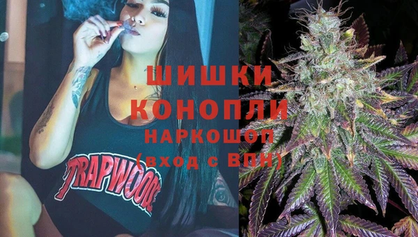 гидра Липки