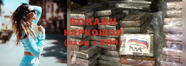 гидра Липки