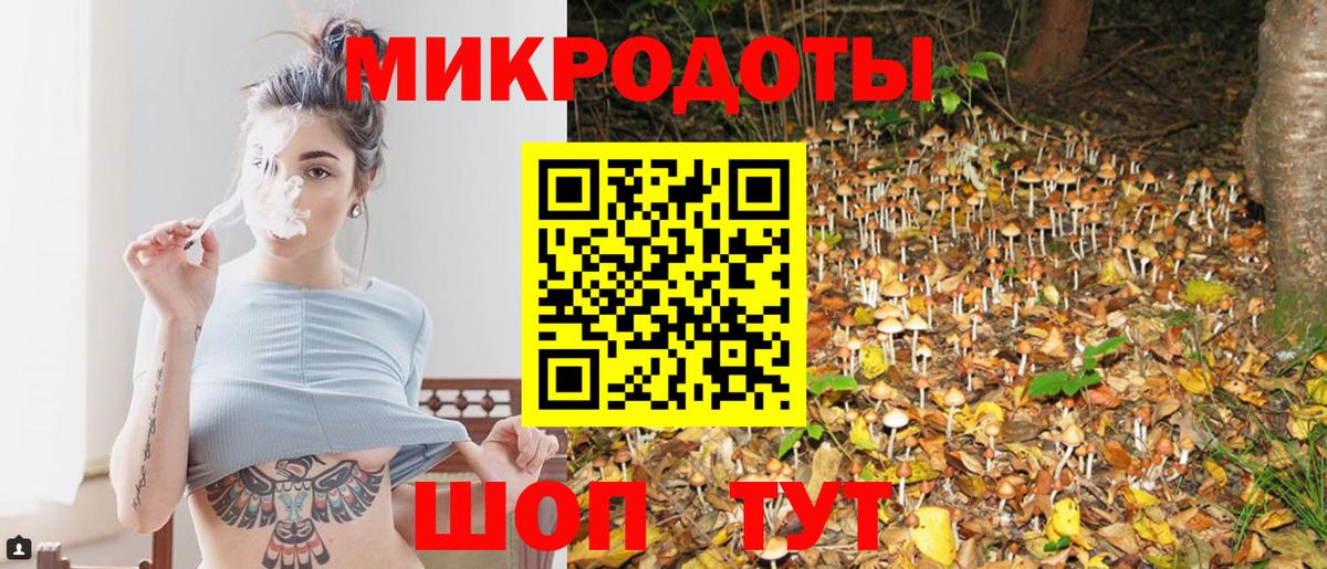 хочу наркоту  Псилоцибиновые грибы Cubensis  Вход с VPN  Осинники 